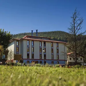 book here